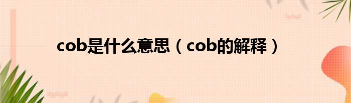 cob是什么意思（cob的解释）