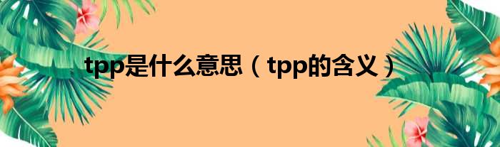 tpp是什么意思（tpp的含义）