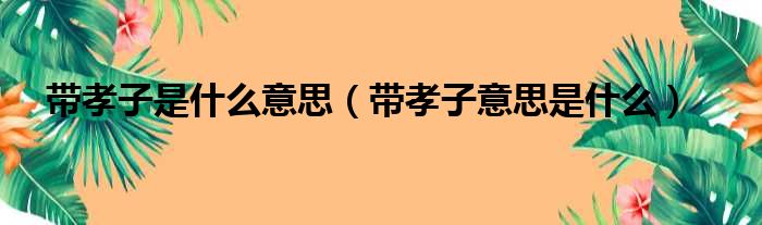 带孝子是什么意思（带孝子意思是什么）