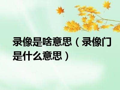 录像是啥意思（录像门是什么意思）