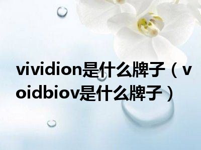 vividion是什么牌子（voidbiov是什么牌子）