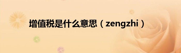  增值税是什么意思（zengzhi）