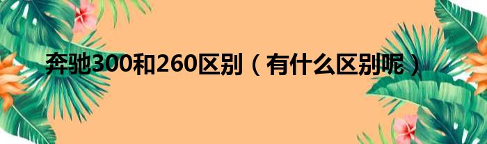 奔驰300和260区别（有什么区别呢）