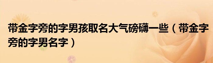  带金字旁的字男孩取名大气磅礴一些（带金字旁的字男名字）