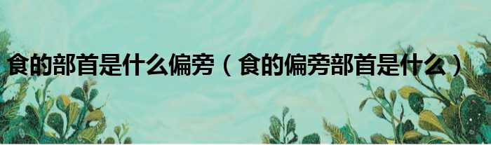 食的部首是什么偏旁（食的偏旁部首是什么）