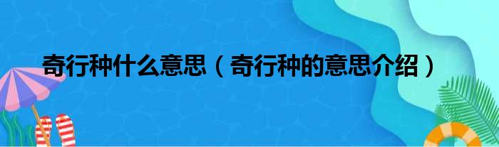 奇行种什么意思（奇行种的意思介绍）