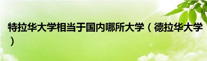  特拉华大学相当于国内哪所大学（德拉华大学）