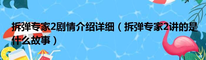 拆弹专家2剧情介绍详细（拆弹专家2讲的是什么故事）