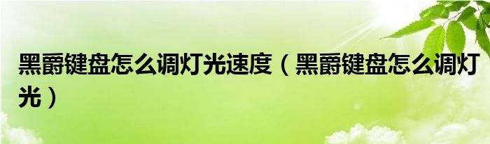  黑爵键盘怎么调灯光速度（黑爵键盘怎么调灯光）