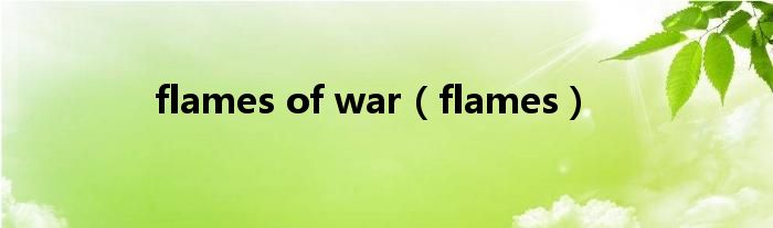  flames of war（flames）