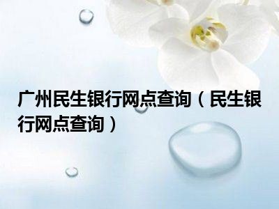 广州民生银行网点查询（民生银行网点查询）