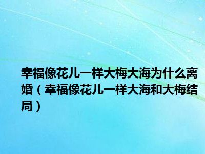 幸福像花儿一样大梅大海为什么离婚（幸福像花儿一样大海和大梅结局）