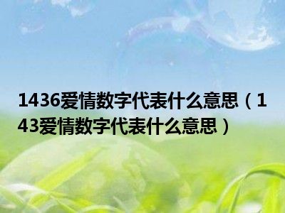 1436爱情数字代表什么意思（143爱情数字代表什么意思）