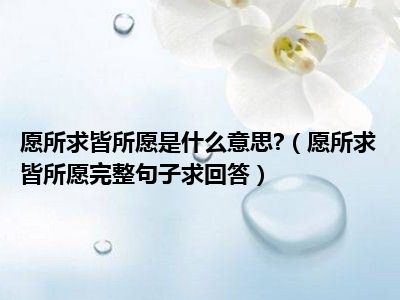 愿所求皆所愿是什么意思 （愿所求皆所愿完整句子求回答）