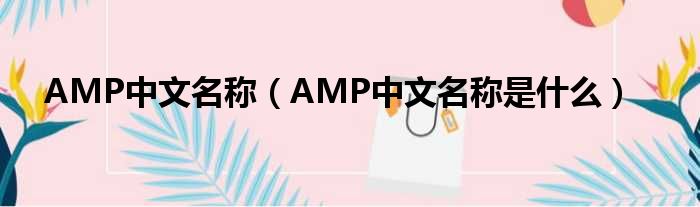 AMP中文名称（AMP中文名称是什么）