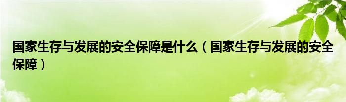  国家生存与发展的安全保障是什么（国家生存与发展的安全保障）