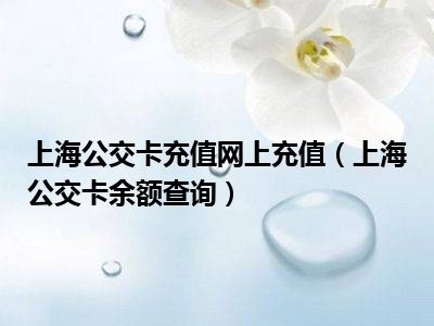 上海公交卡充值网上充值（上海公交卡余额查询）