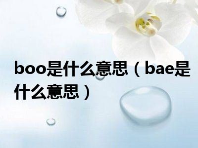 boo是什么意思（bae是什么意思）