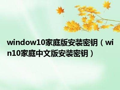 window10家庭版安装密钥（win10家庭中文版安装密钥）