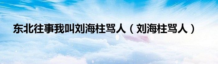  东北往事我叫刘海柱骂人（刘海柱骂人）