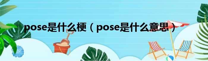 pose是什么梗（pose是什么意思）