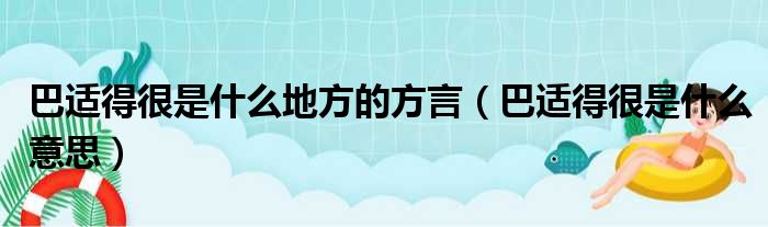 巴适得很是什么地方的方言（巴适得很是什么意思）