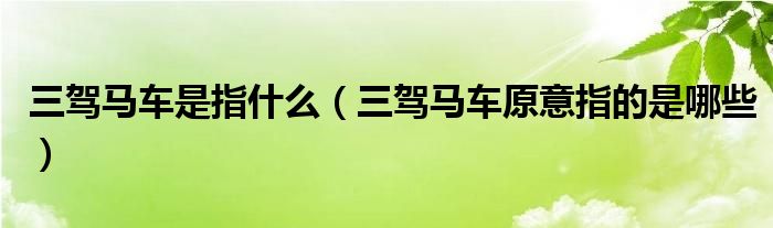 三驾马车是指什么（三驾马车原意指的是哪些）