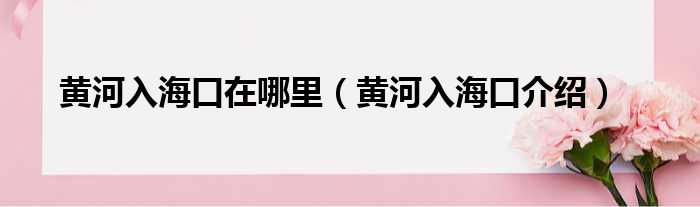 黄河入海口在哪里（黄河入海口介绍）