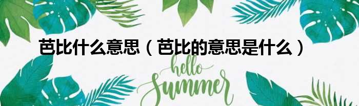 芭比什么意思（芭比的意思是什么）