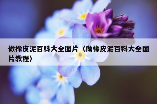 做橡皮泥百科大全图片（做橡皮泥百科大全图片教程）