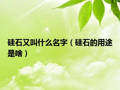 硅石又叫什么名字（硅石的用途是啥）