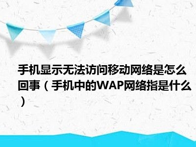 手机显示无法访问移动网络是怎么回事（手机中的WAP网络指是什么）