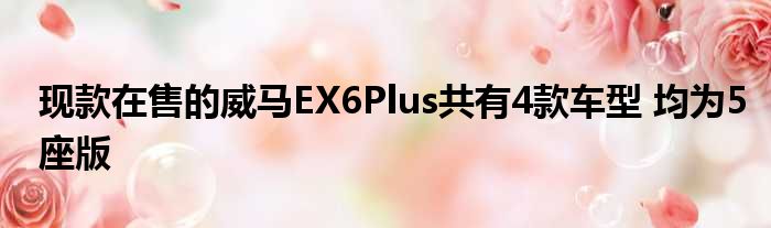 现款在售的威马EX6Plus共有4款车型 均为5座版