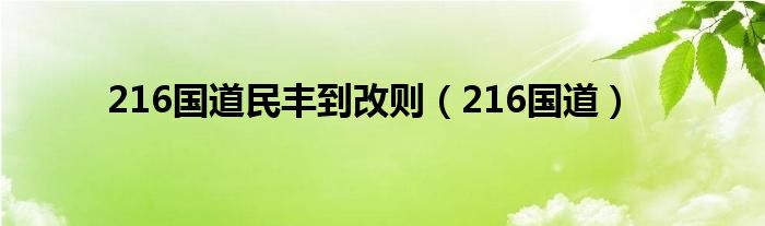  216国道民丰到改则（216国道）