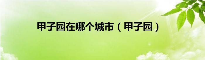  甲子园在哪个城市（甲子园）