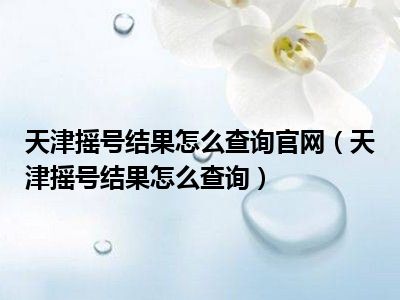 天津摇号结果怎么查询官网（天津摇号结果怎么查询）