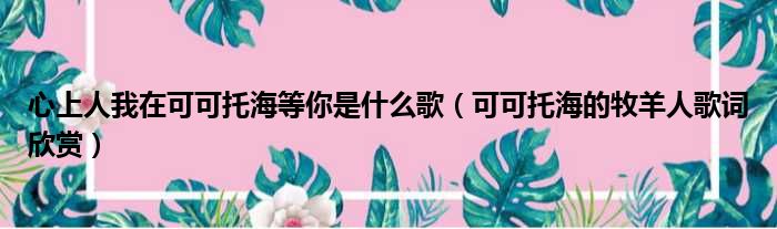 心上人我在可可托海等你是什么歌（可可托海的牧羊人歌词欣赏）