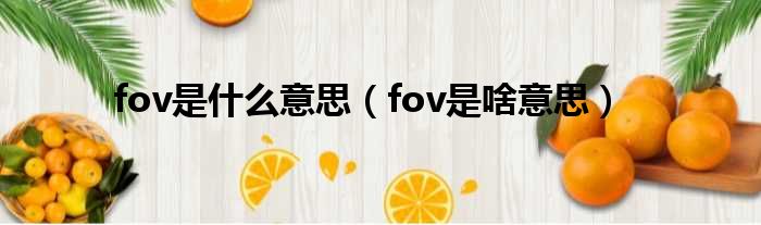 fov是什么意思（fov是啥意思）