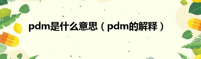 pdm是什么意思（pdm的解释）