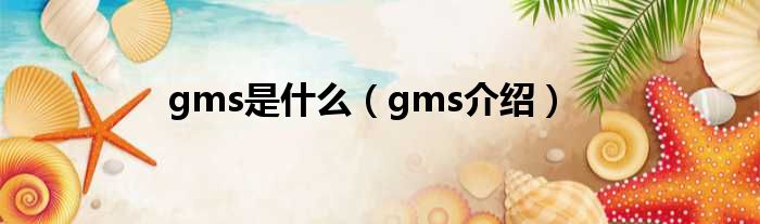 gms是什么（gms介绍）