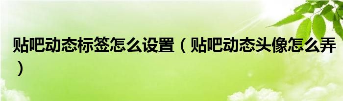  贴吧动态标签怎么设置（贴吧动态头像怎么弄）