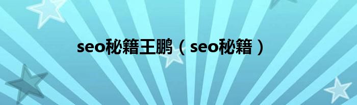  seo秘籍王鹏（seo秘籍）