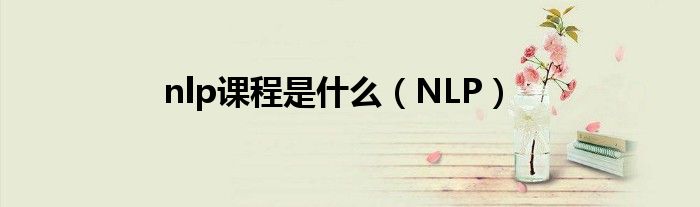  nlp课程是什么（NLP）