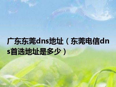 广东东莞dns地址（东莞电信dns首选地址是多少）