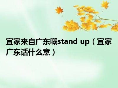 宜家来自广东嘅stand up（宜家广东话什么意）