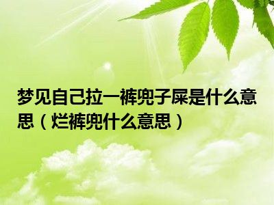 梦见自己拉一裤兜子屎是什么意思（烂裤兜什么意思）