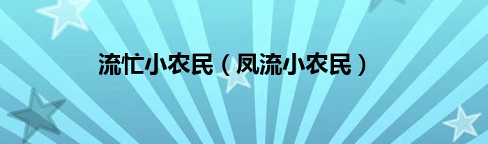  流忙小农民（凤流小农民）