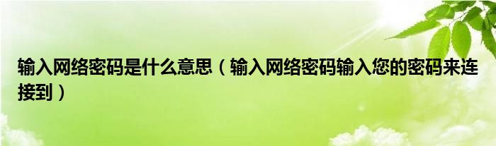  输入网络密码是什么意思（输入网络密码输入您的密码来连接到）