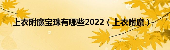  上衣附魔宝珠有哪些2022（上衣附魔）