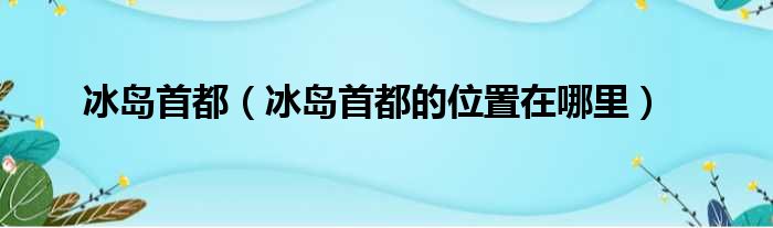 冰岛首都（冰岛首都的位置在哪里）